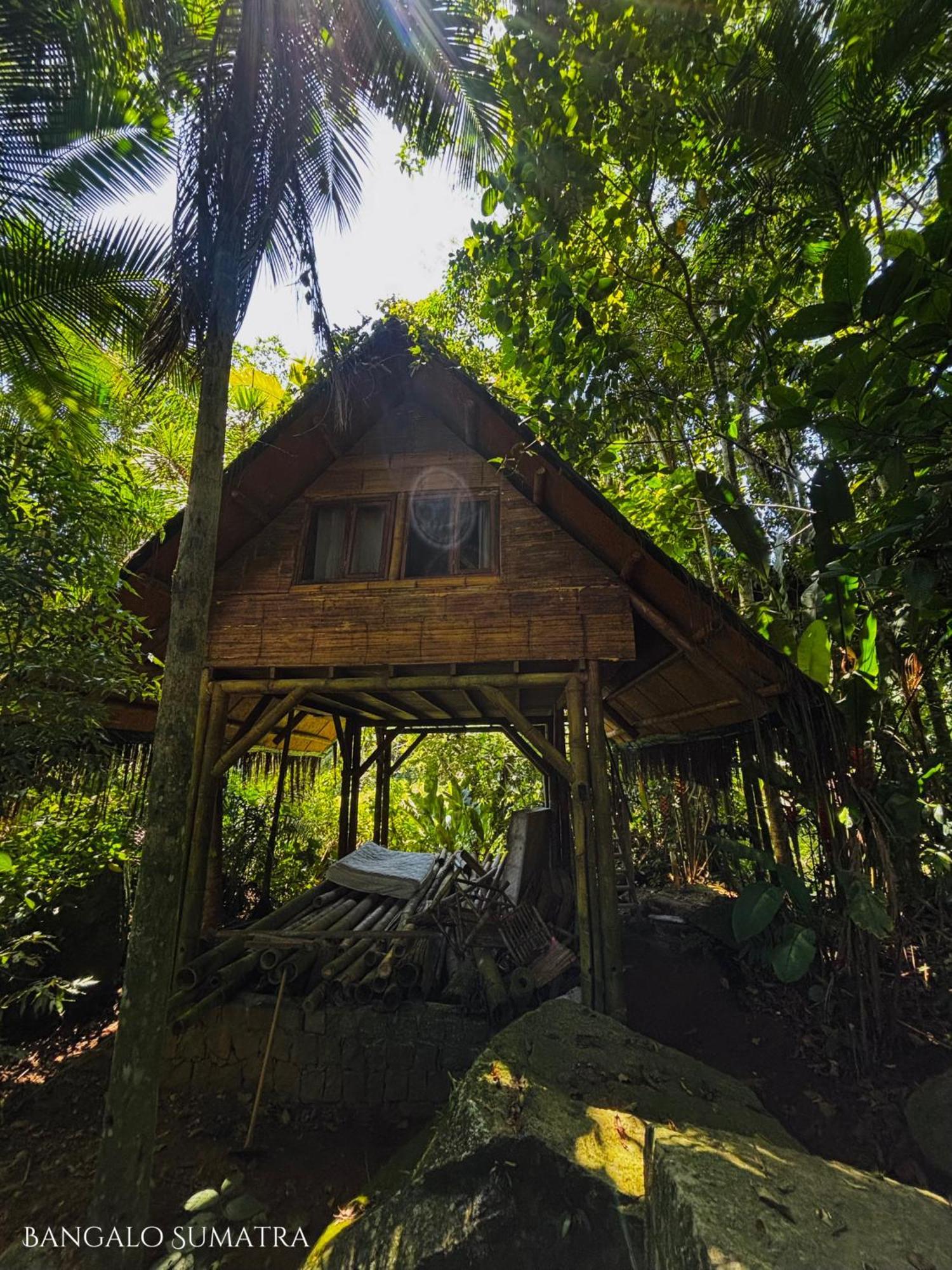 Bed and Breakfast Sitio Simple Life Ubatuba Zewnętrze zdjęcie