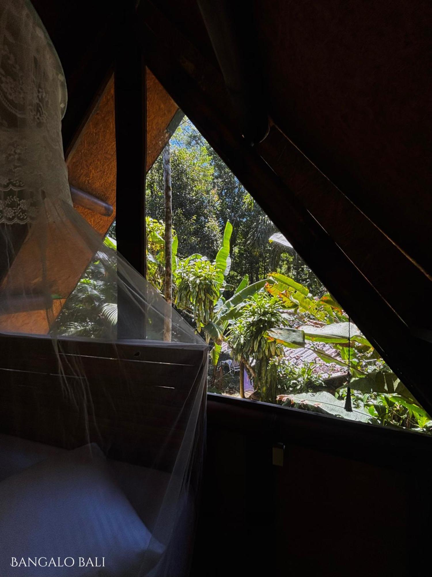 Bed and Breakfast Sitio Simple Life Ubatuba Zewnętrze zdjęcie
